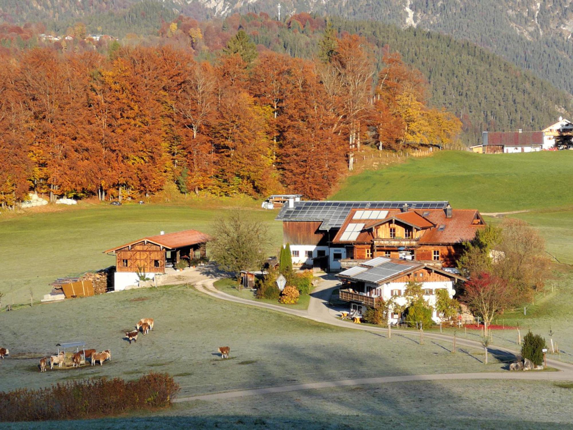 Ferienwohnung Oberreitlehen Bischofswiesen Exterior foto